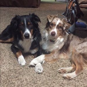 Meet your Posher, Eva